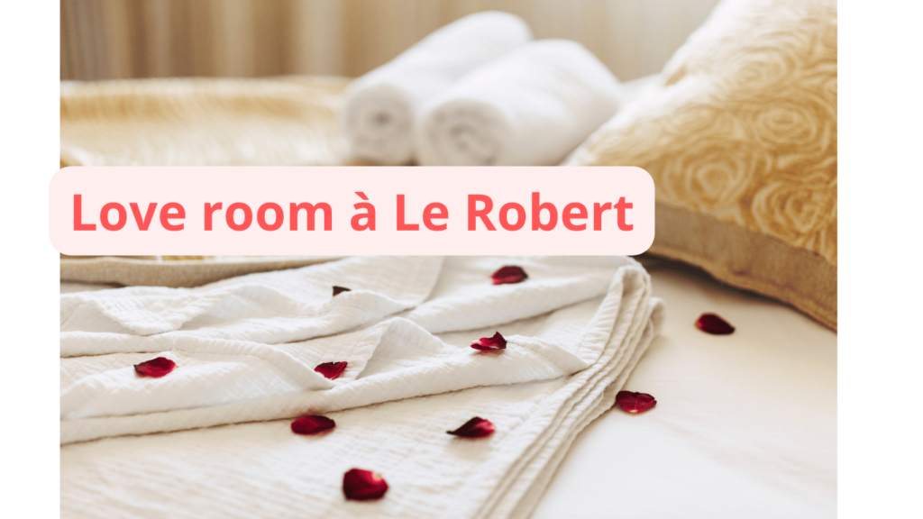 Love room à Le Robert : notre sélection
