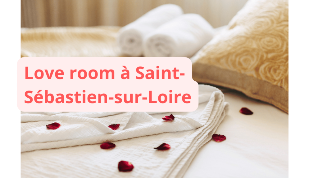 Love room à Saint-Sébastien-sur-Loire : notre sélection
