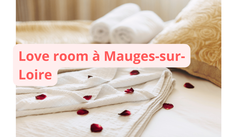 Love room à Mauges-sur-Loire : notre sélection