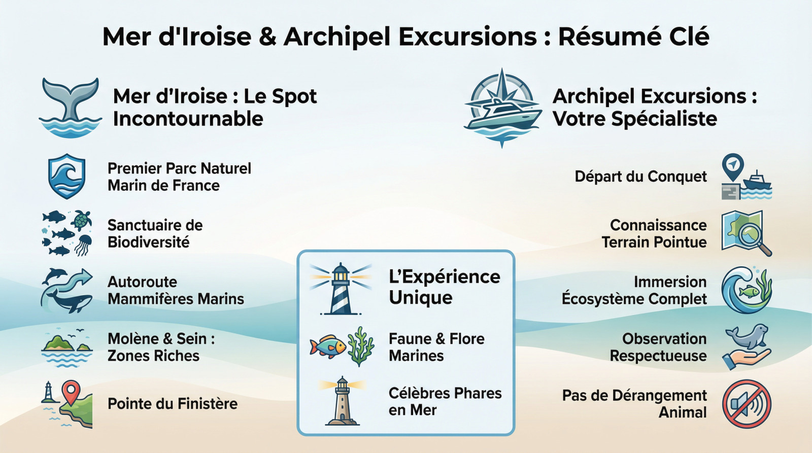 Observation de la faune marine et des phares en mer d'Iroise avec Archipel Excursions